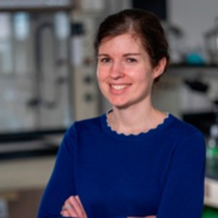 Profile photo of  Angela L Wholehan